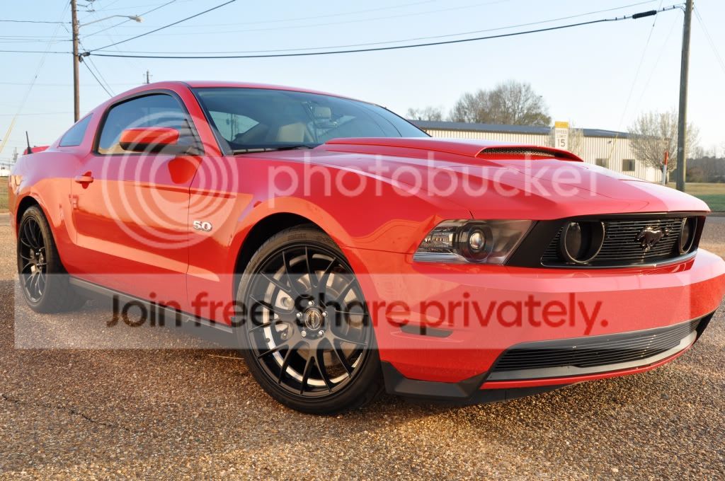 Stang-2.jpg