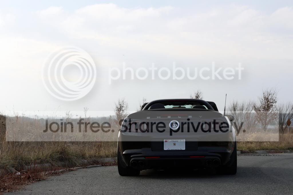 IMG_3176_zps180b77b9.jpg