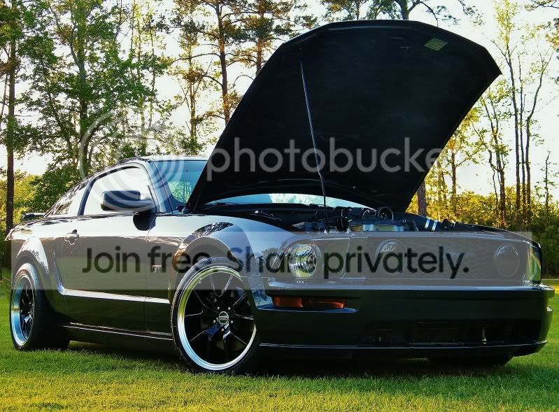 DSCF1796-1.jpg