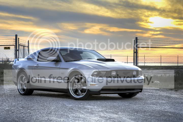 mustang1.jpg