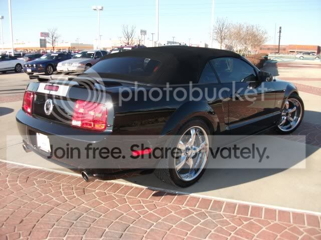 mustang1.jpg