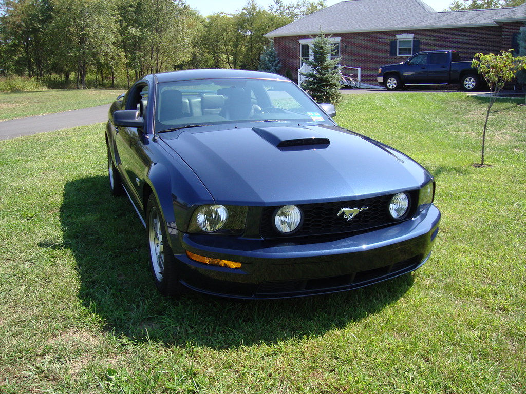 6437731413_3749b91ddf_b.jpg