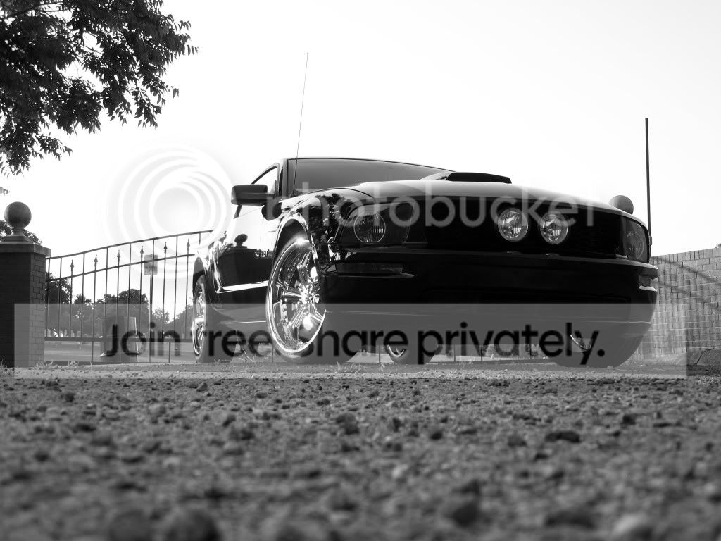 mystang025.jpg