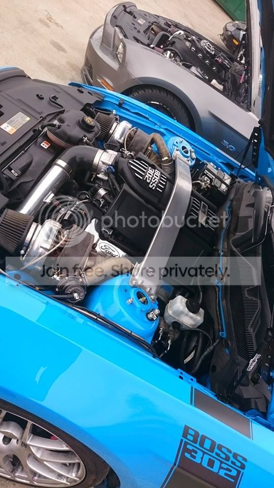 2014mustang017.jpg