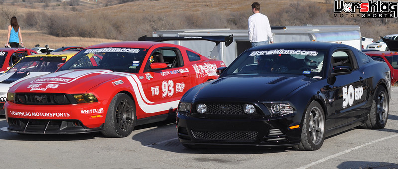 DSC_6217-L.jpg