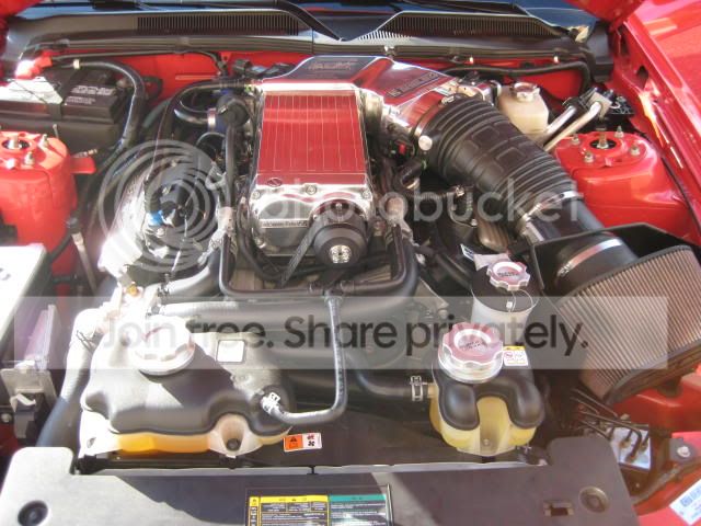 SuperSnake004.jpg
