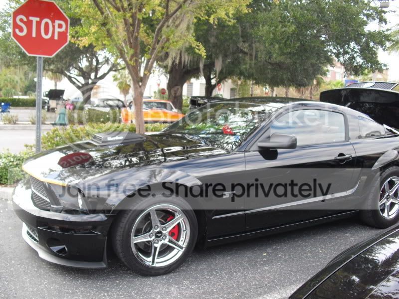 PlantCityCarShow11-20-10003.jpg