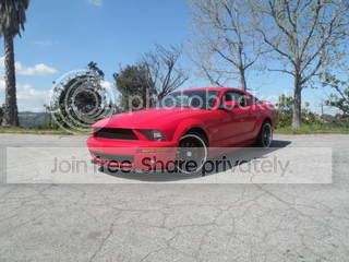 DSCN1356.jpg