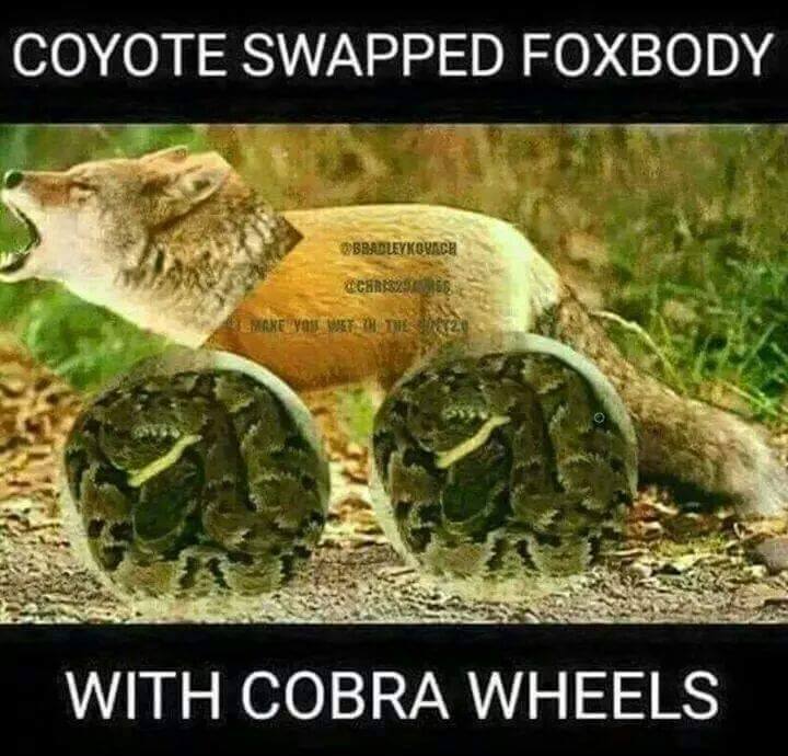 38ooJDY.jpg