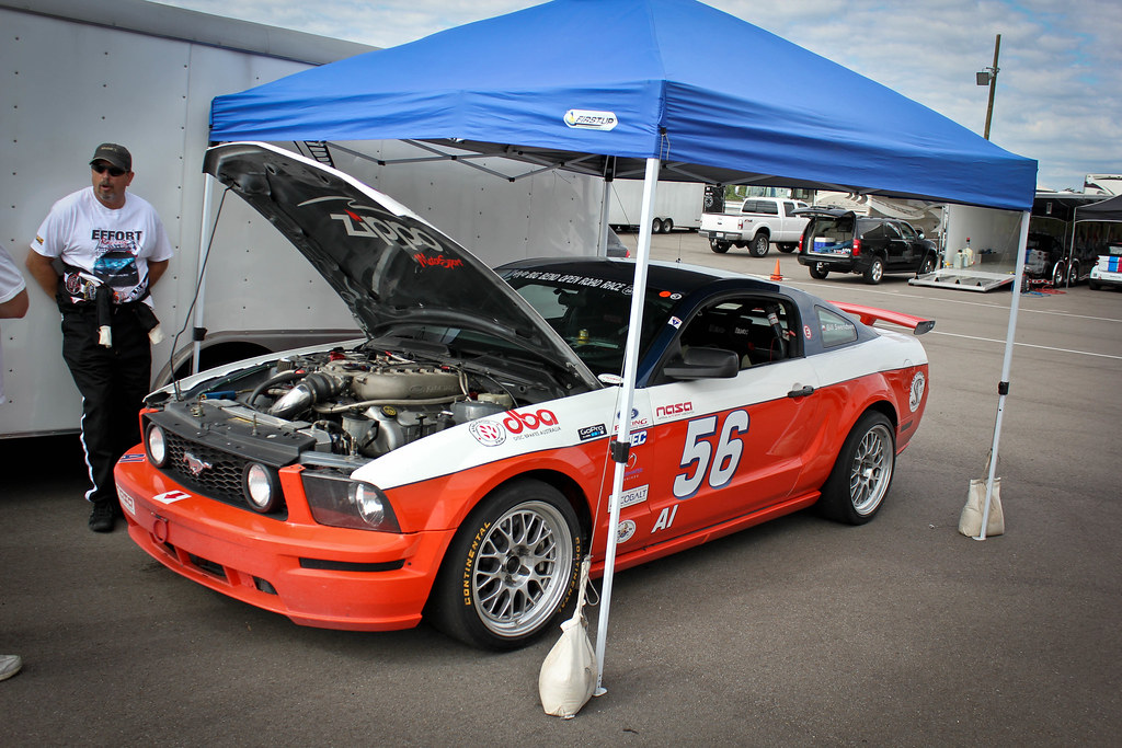 8197728256_2cc4f8365a_b.jpg