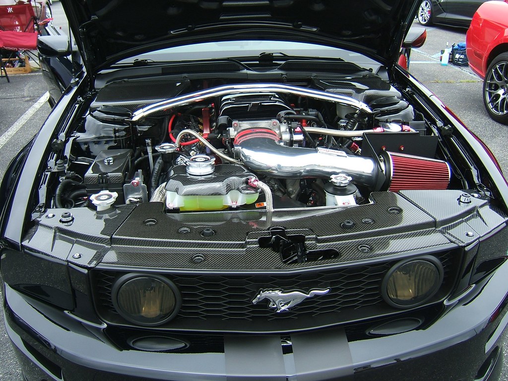 54622316833_4b879e91cd_b.jpg