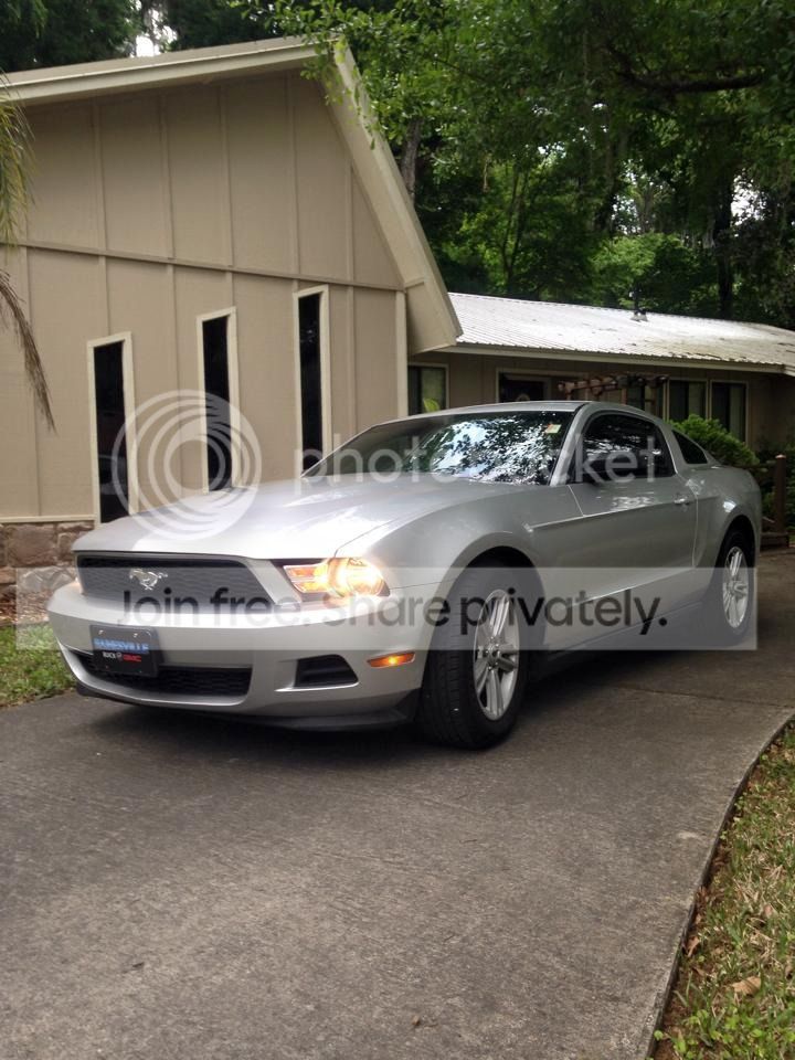 newstang_zps7gaa1ldt.jpg