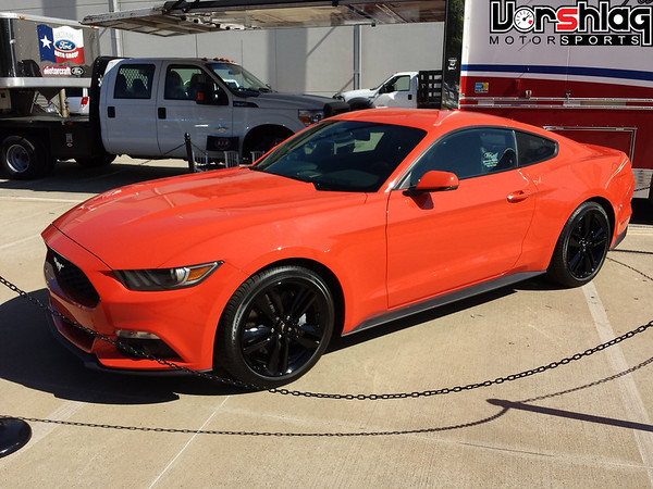 20140503_100637-M.jpg