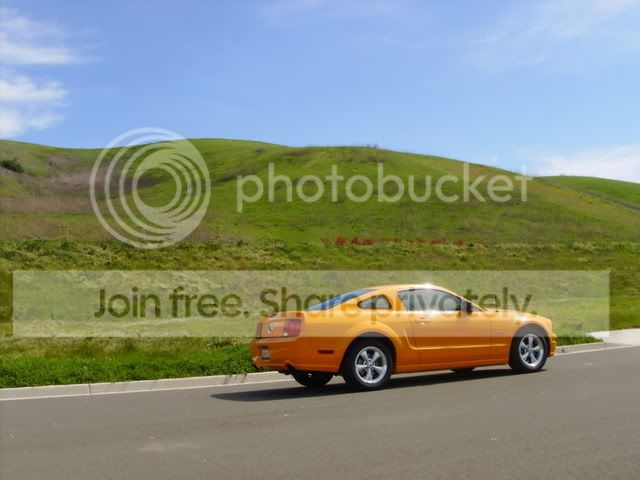 HPIM0982.jpg
