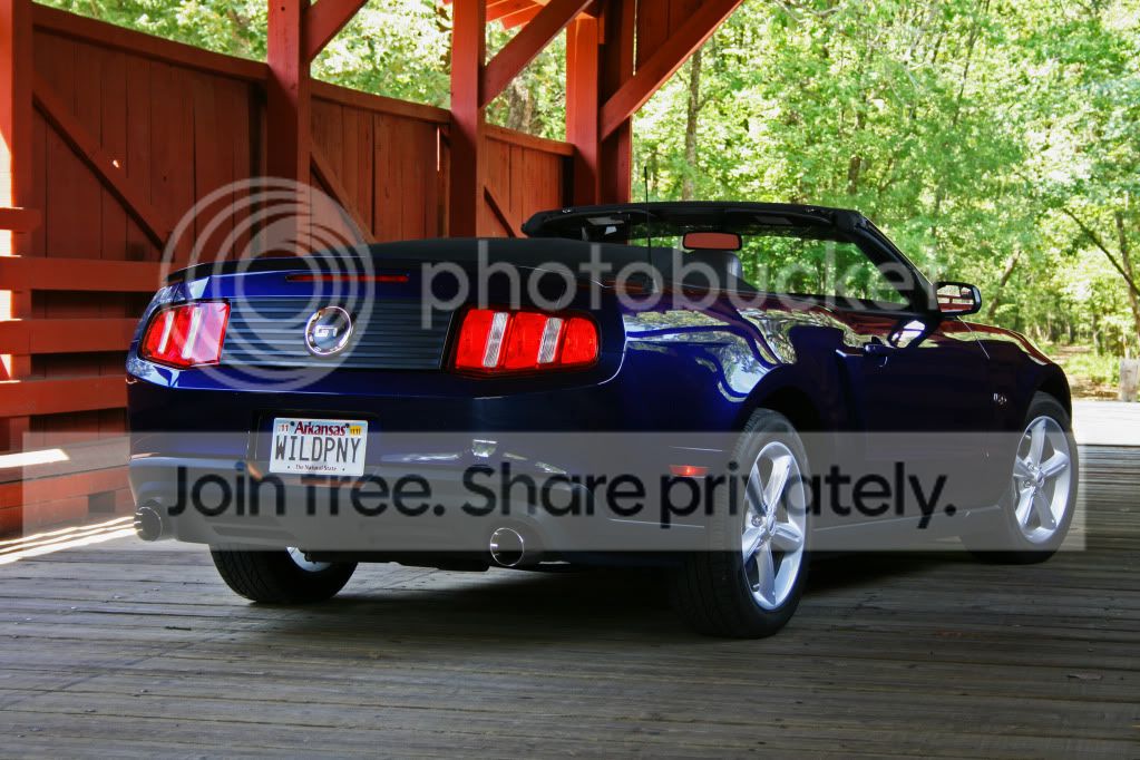 IMG_0278a.jpg