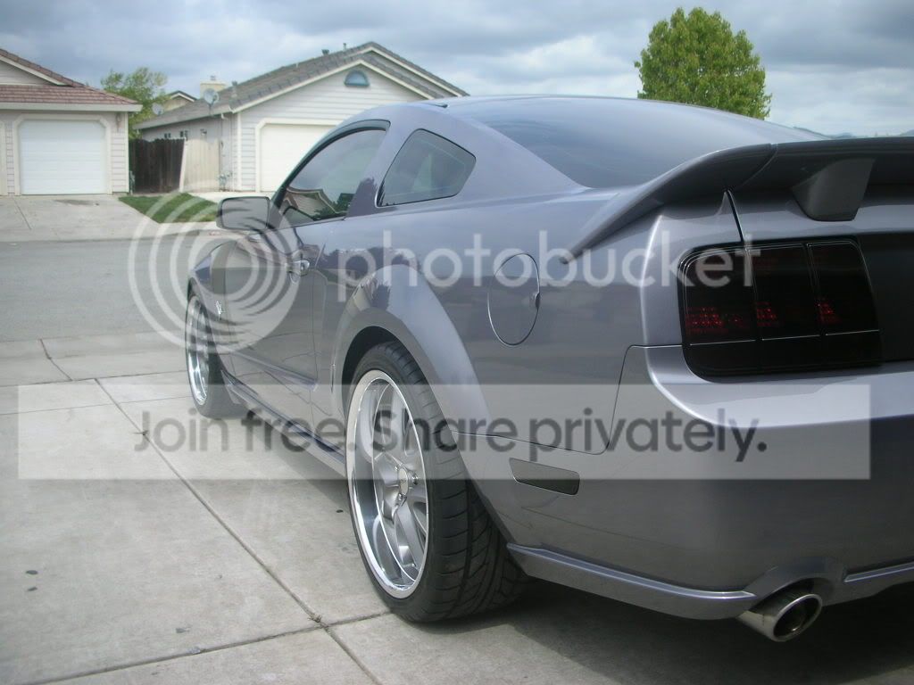 stang005.jpg