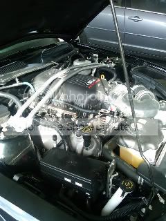 bullittintake3-1.jpg