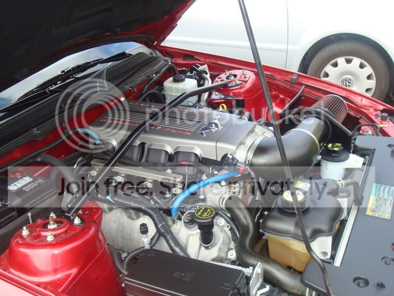 MustangGT012.jpg