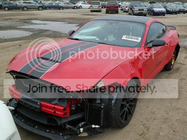 Picture5_zpse8jhygpb.jpg