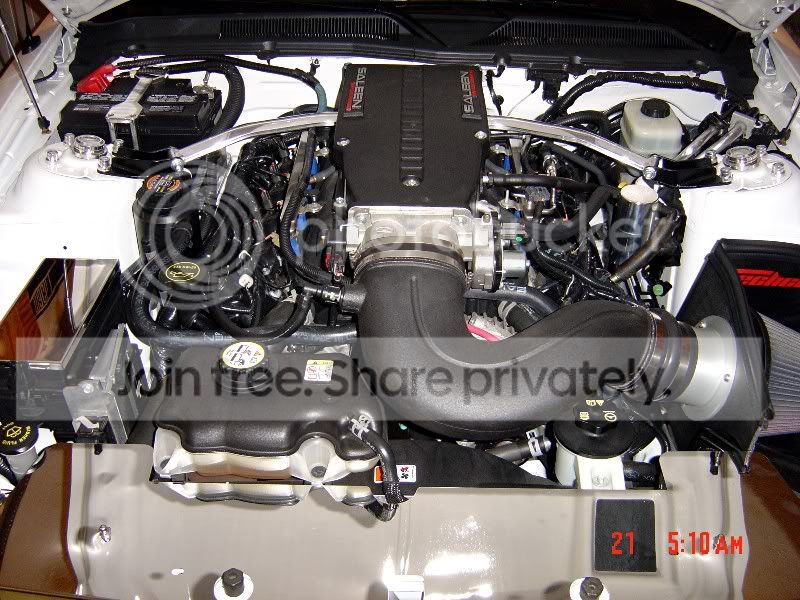 enginepics2010002Standarde-mailview.jpg