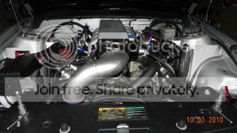 DSCN0990.jpg