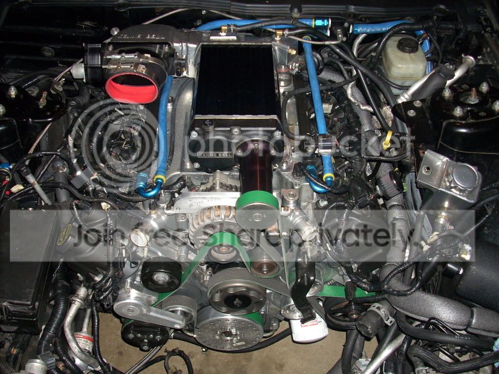 DSCN0478.jpg