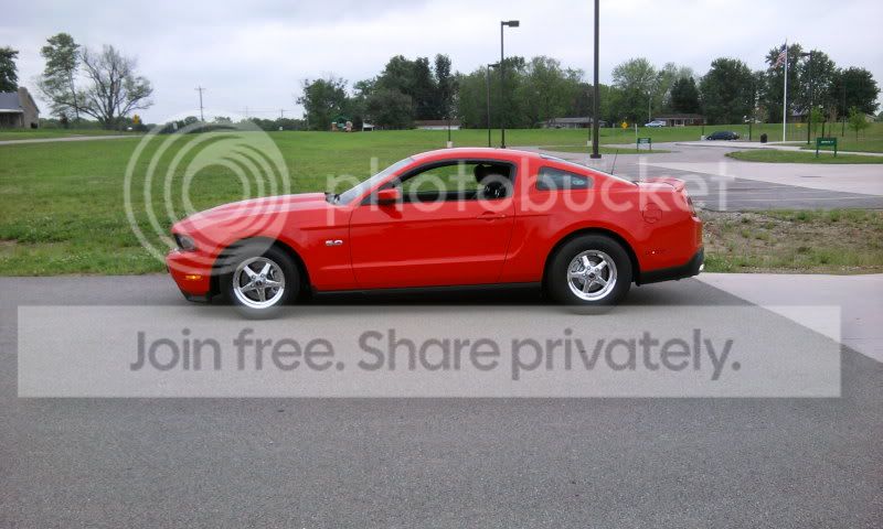 mustang2.jpg