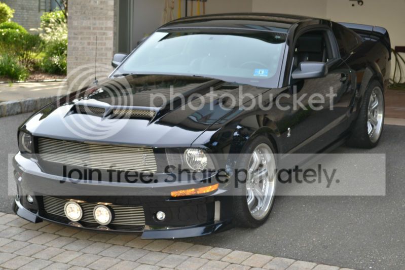 mustang_0008_Layer6.jpg