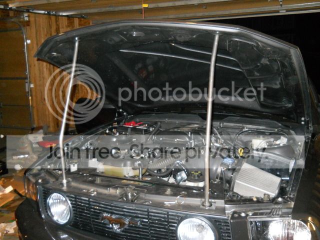 DSCN0238-1.jpg