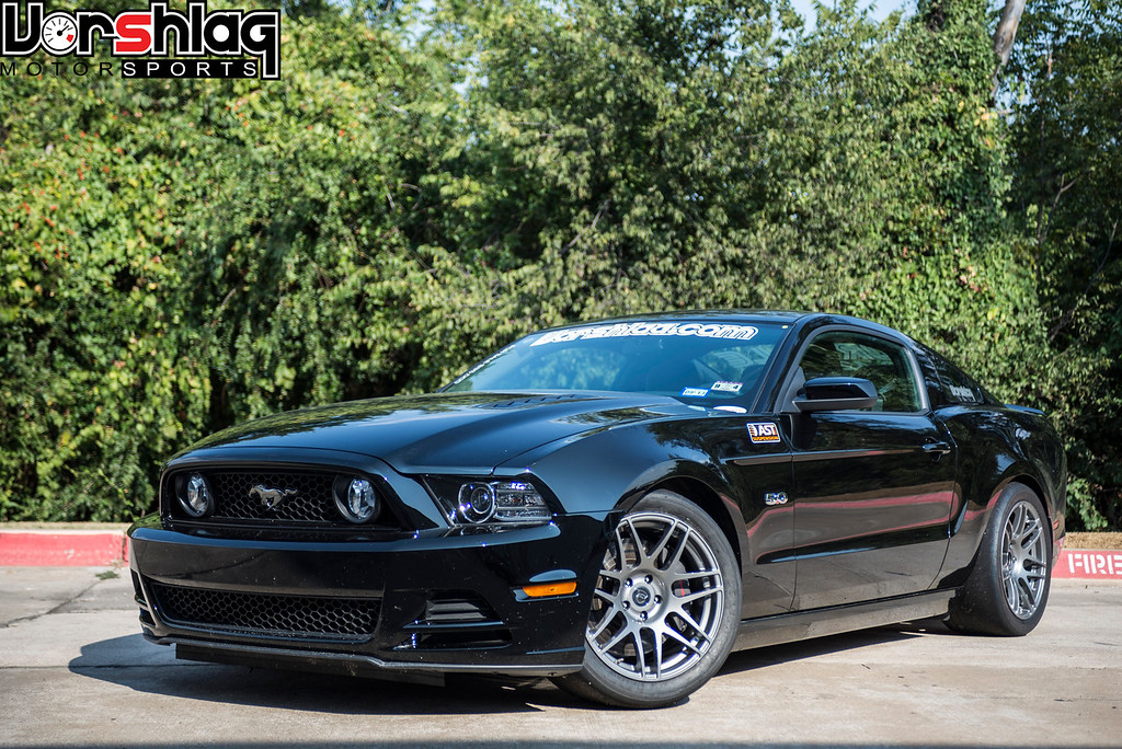 _DSC3005-XL.jpg