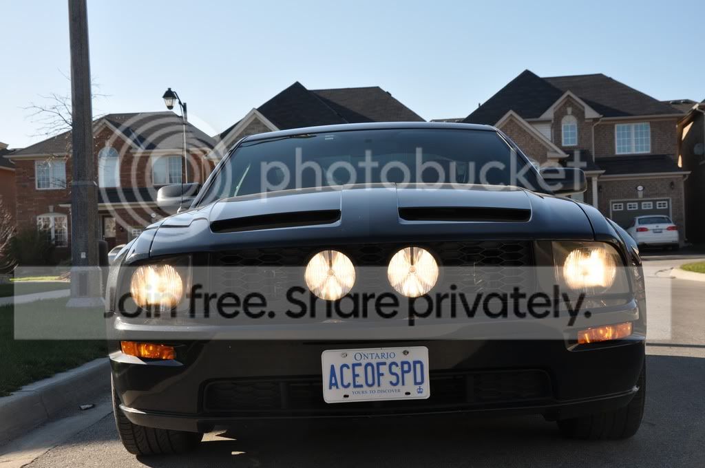 DSC_0157.jpg