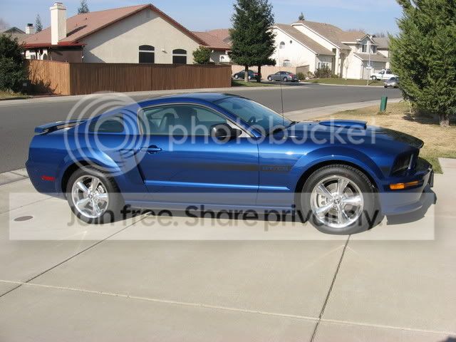 Mustang003.jpg