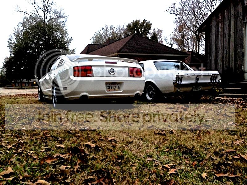IMG_4228_zpsb6c1bb63.jpg