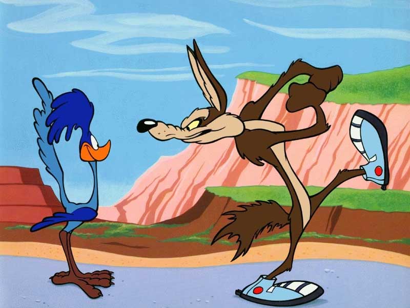 roadrunner.jpg