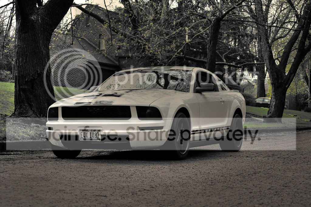mustangonroad.jpg