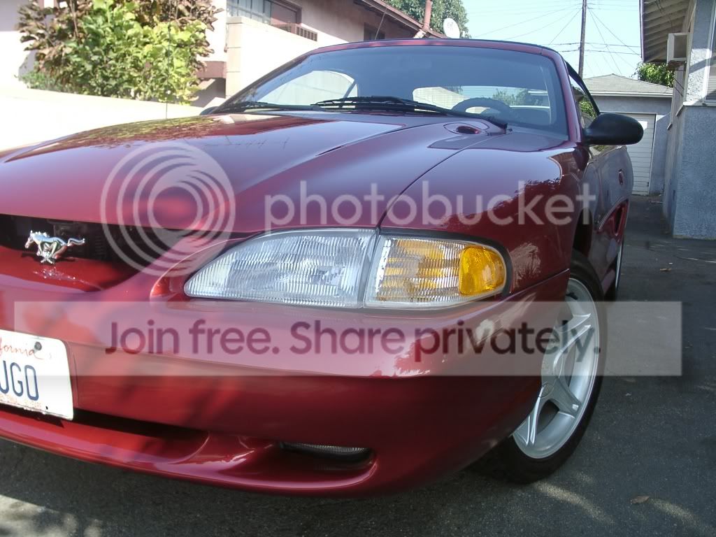 mustangseptember001.jpg