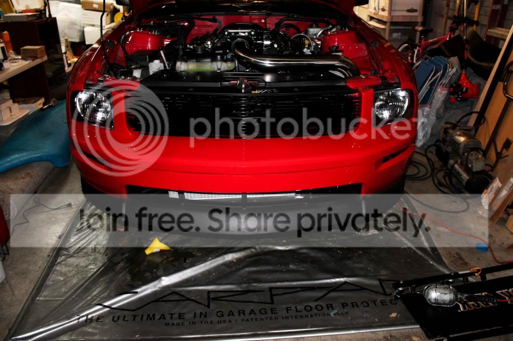 IMG_0754_zps8bd4dcda.jpg