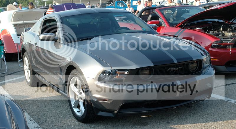 mustang1web_zps74412574.jpg