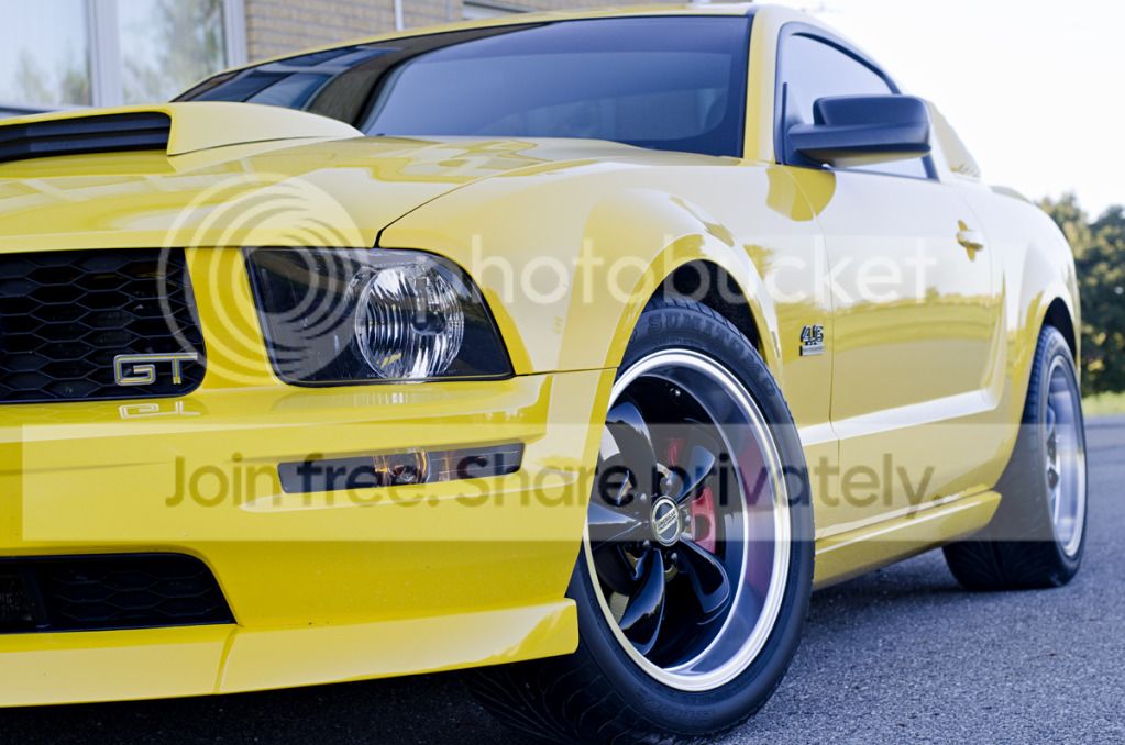 AOP_2115_zps1fc6280f.jpg