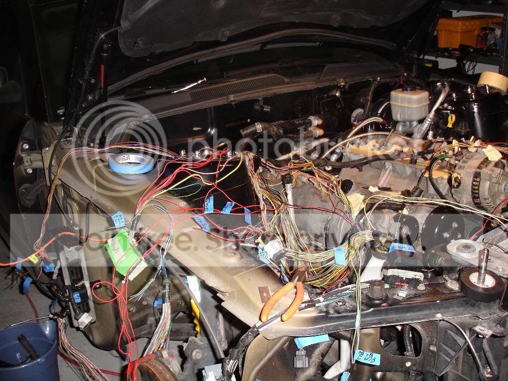 wires7.jpg