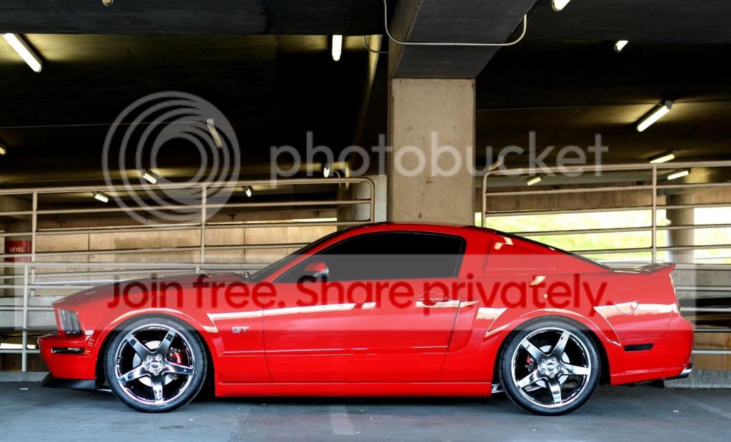 IMG_8238_zpsfca48f64.jpg