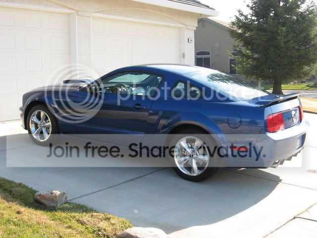 Mustang008.jpg